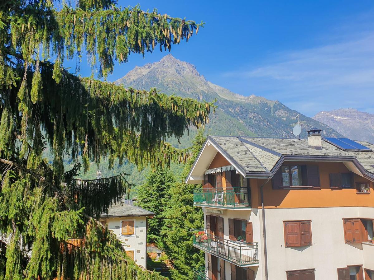 Hotel Fior Di Monte Caspoggio Luaran gambar
